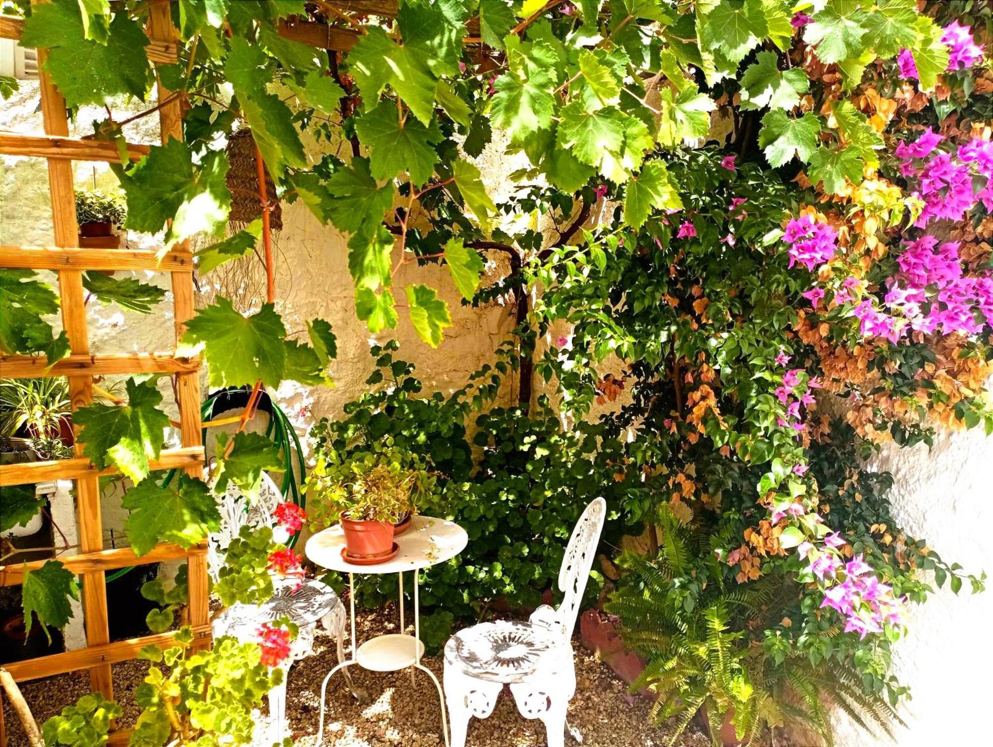 Casa Shyshka Country Cottage 페리아나 외부 사진