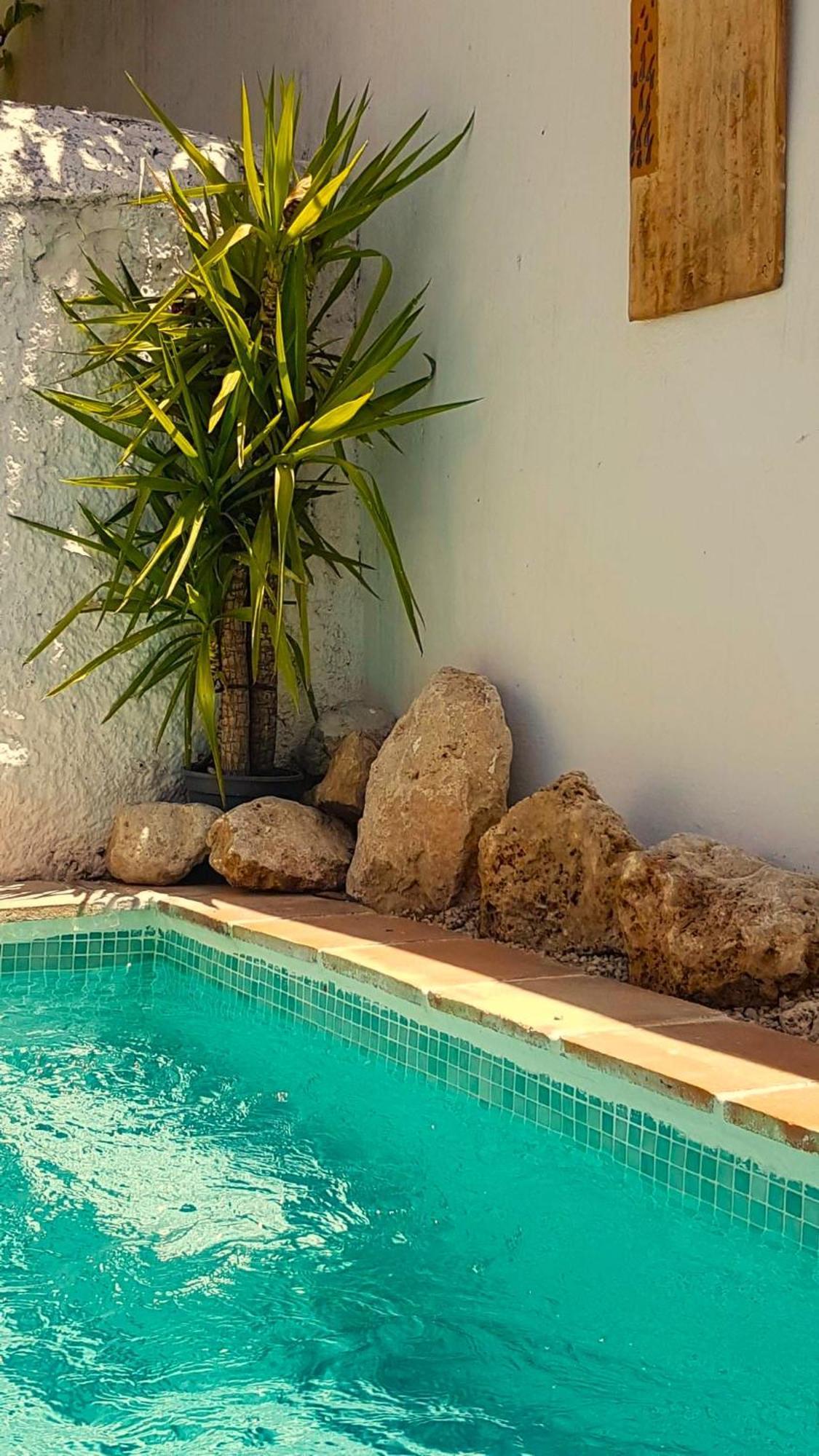 Casa Shyshka Country Cottage 페리아나 외부 사진